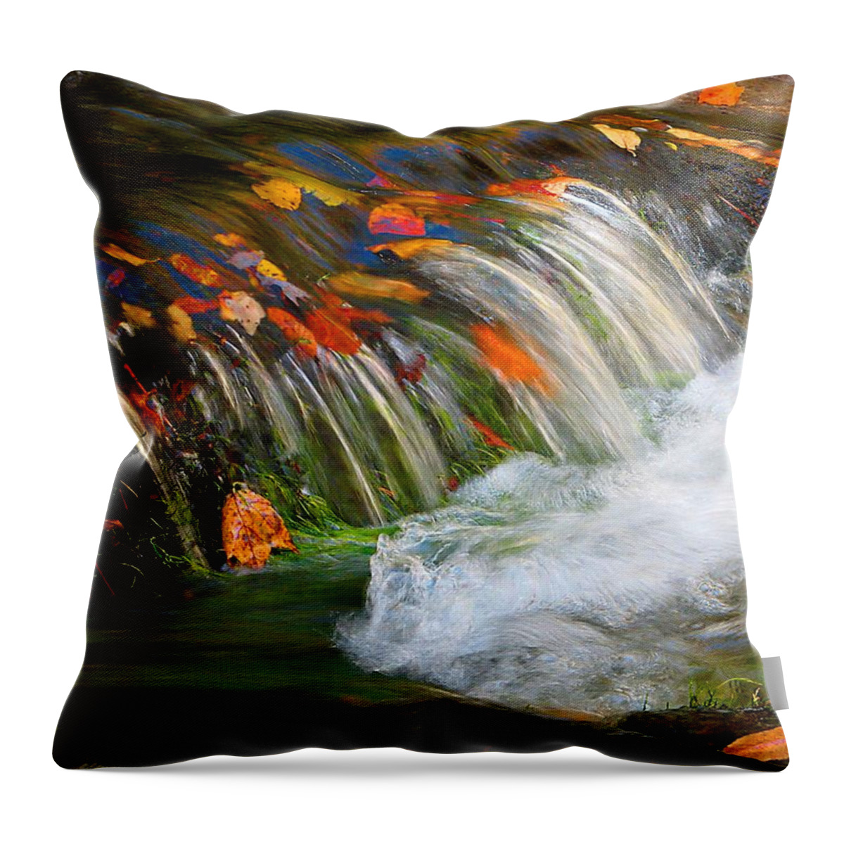 Fall Stream Throw Pillow featuring the photograph The Stream by Michael Eingle