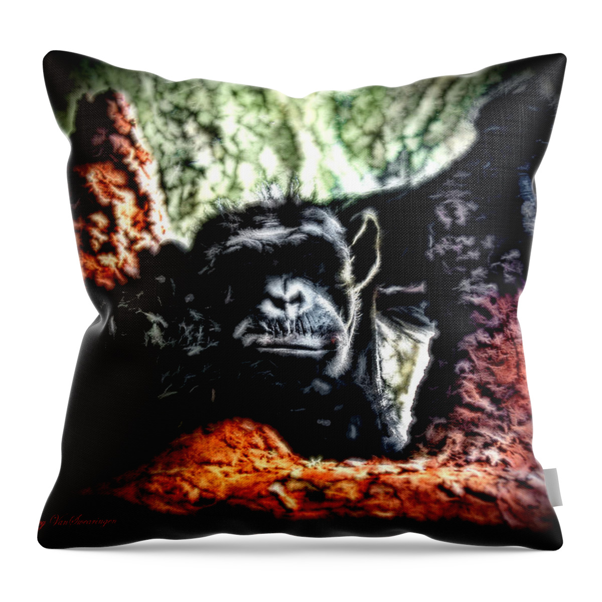 Zoo Throw Pillow featuring the photograph The Thinker by Lucy VanSwearingen