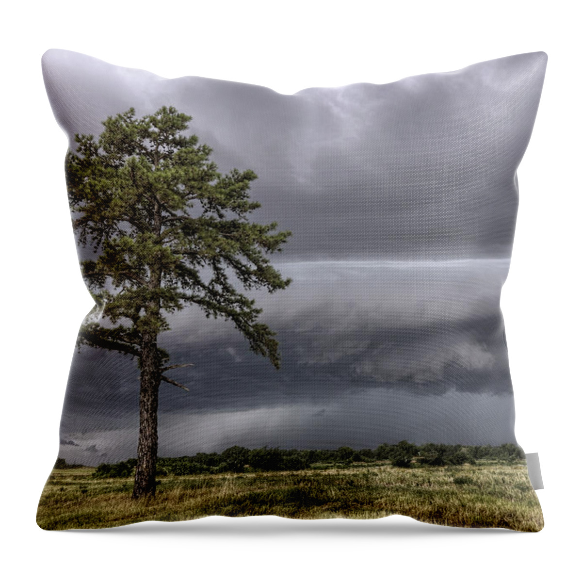 Thunderstorm Throw Pillow featuring the photograph The Thunder Rolls - Storm - Pine Tree by Jason Politte