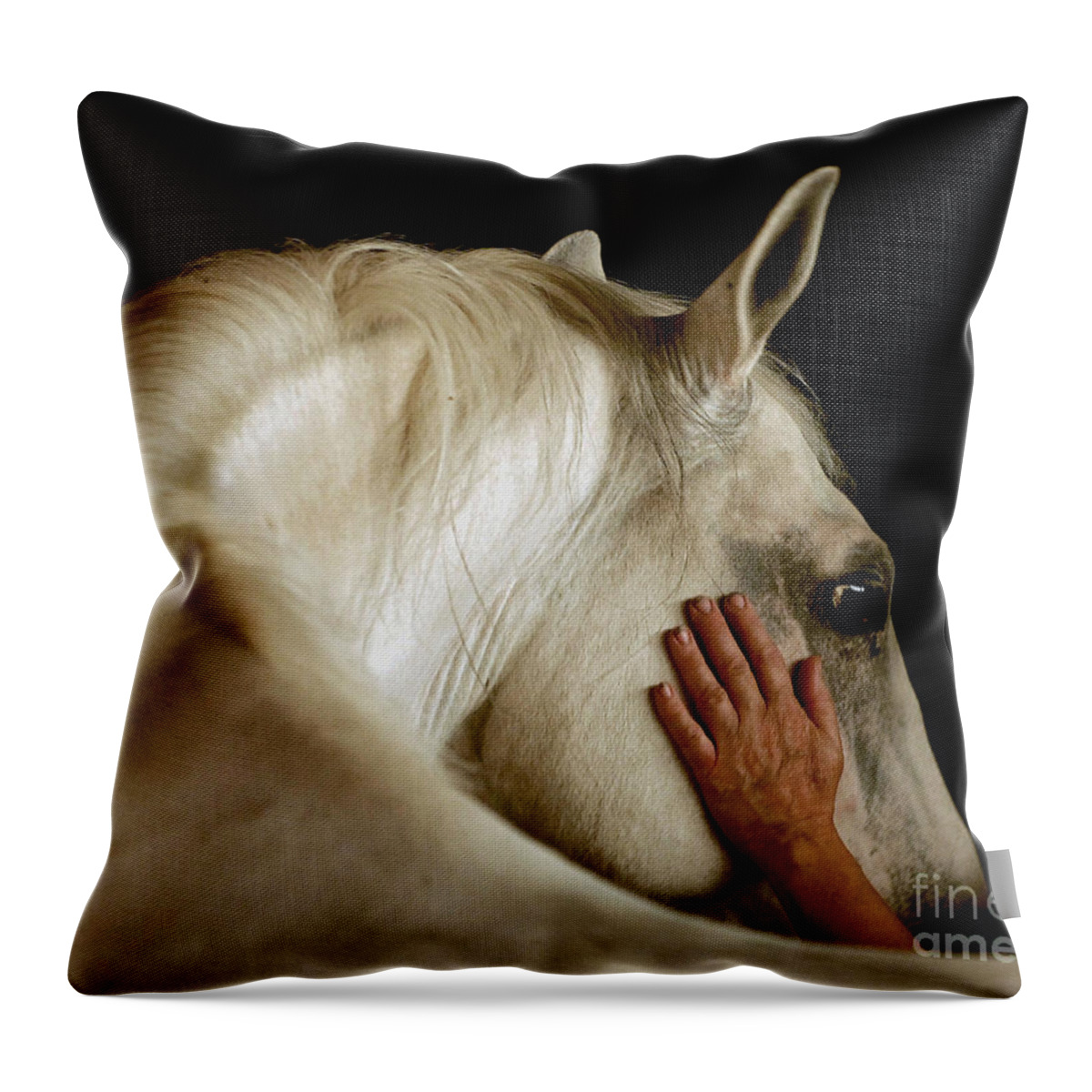Lipizzan Throw Pillow featuring the photograph The Touch by Carien Schippers