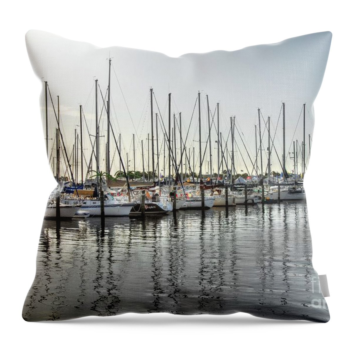 Boats Throw Pillow featuring the photograph The Trail To Water by Anthony Wilkening