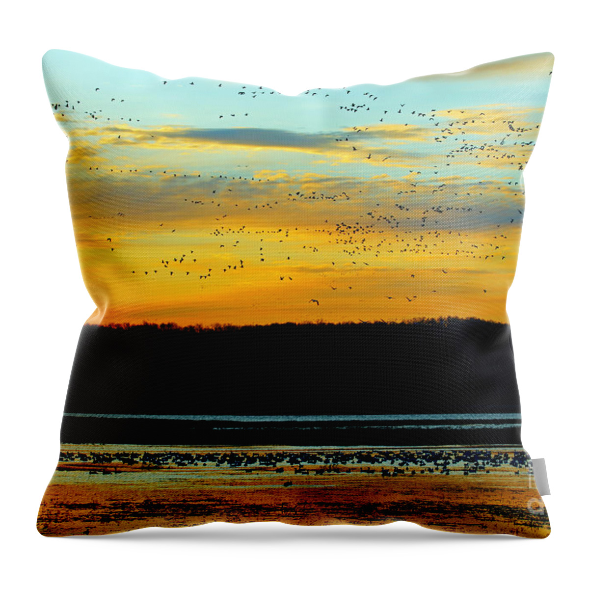 Birds Throw Pillow featuring the photograph The Travelers by Elizabeth Winter