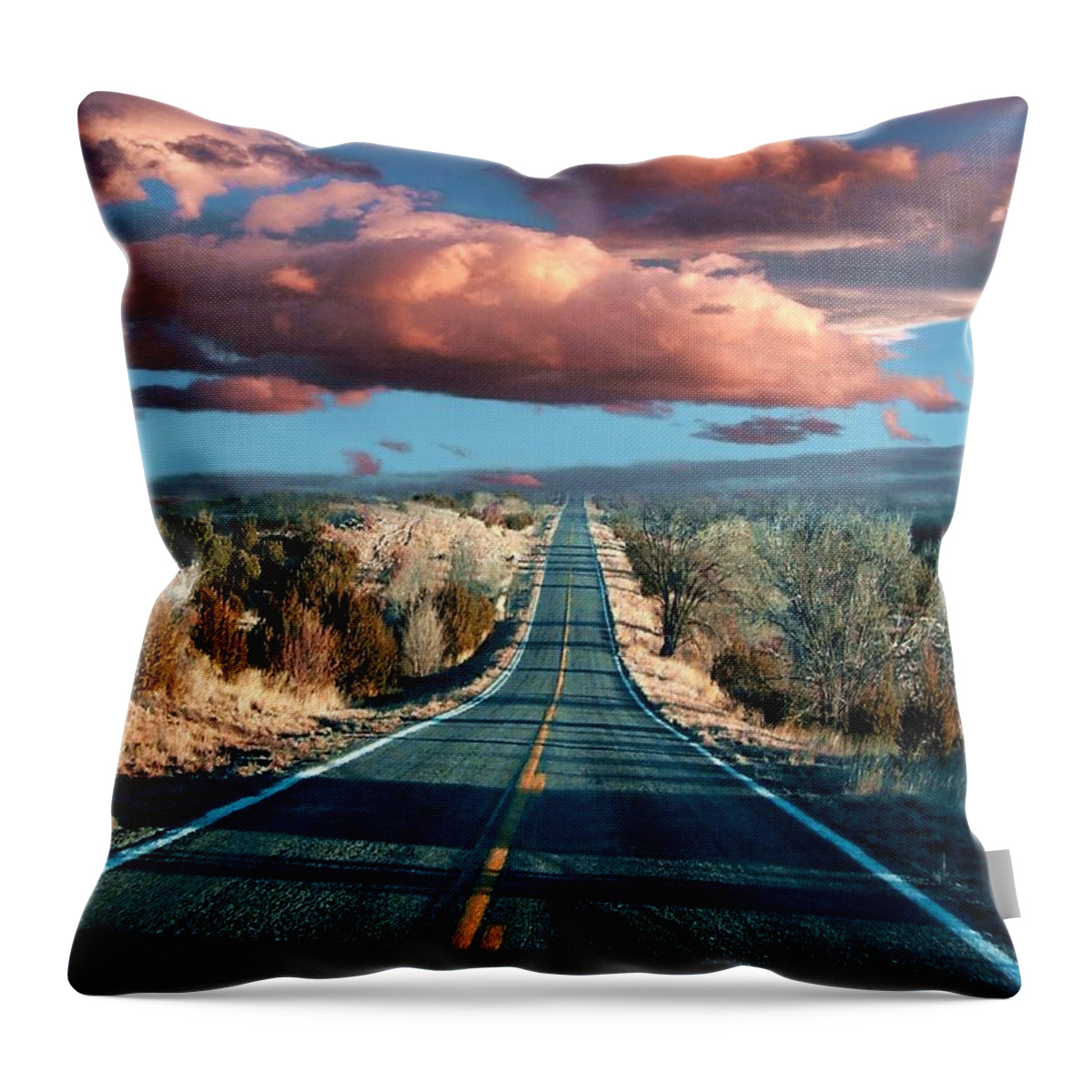 Roads Throw Pillow featuring the mixed media The Trip by Bill Stephens