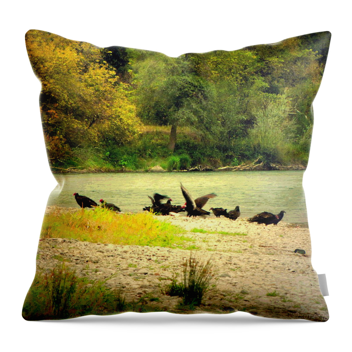 Turkey-vulture Throw Pillow featuring the photograph The Turkey Vulture Feast by Joyce Dickens