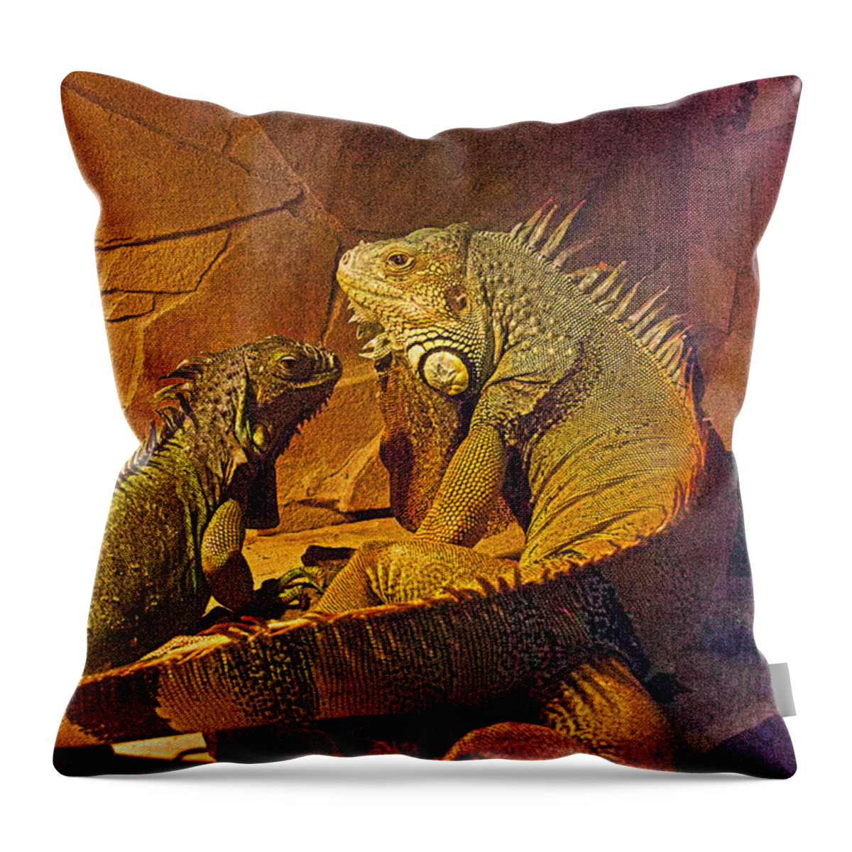 Stuart Media Servces Throw Pillow featuring the photograph The two of us by Blair Stuart