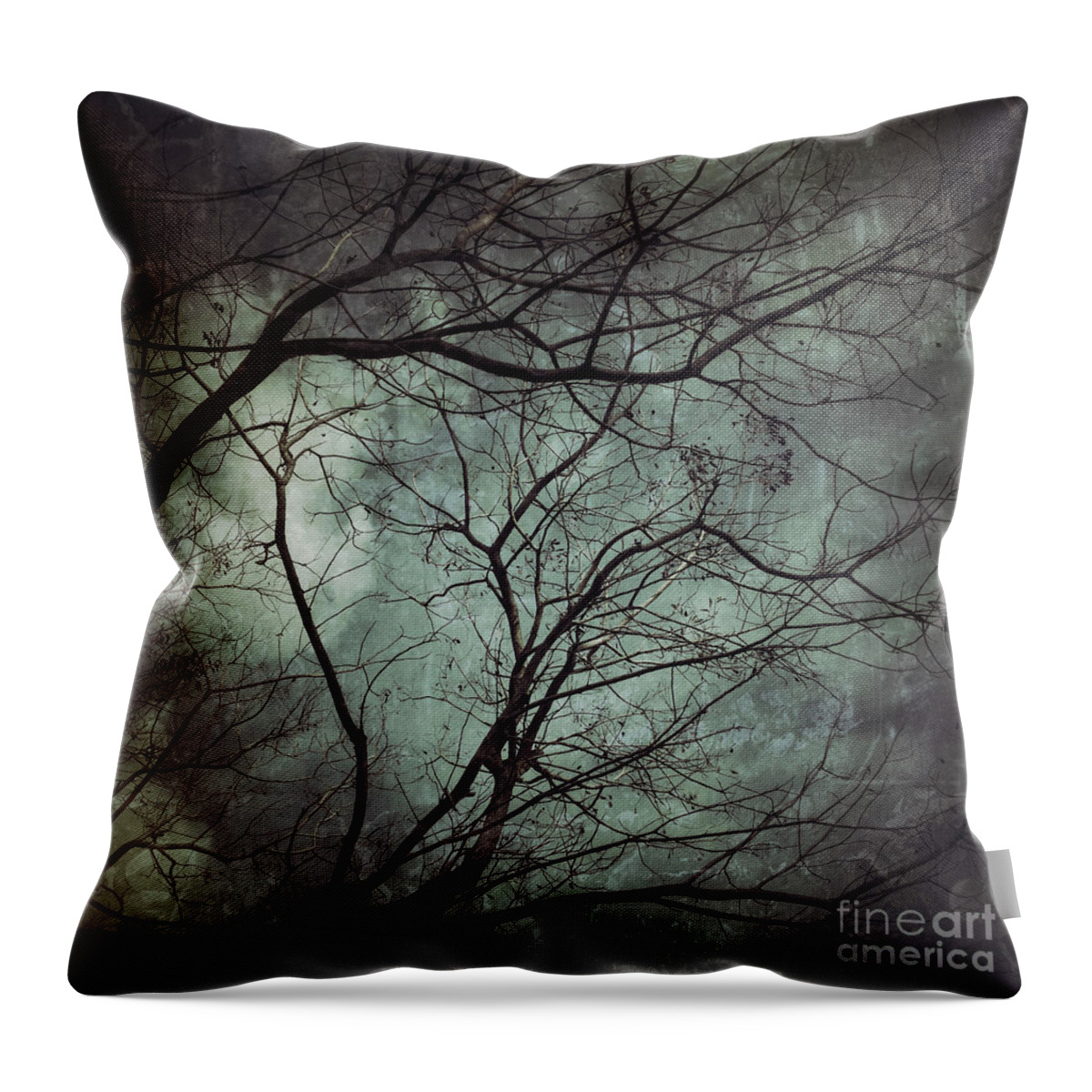 Photography Throw Pillow featuring the photograph The Unknown by Ivy Ho