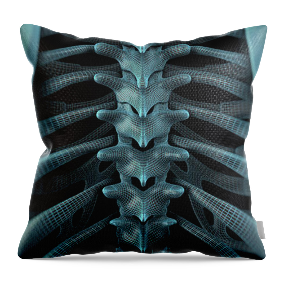 Biomedical Illustration Throw Pillow featuring the photograph The Vertebral Column Wireframe by Science Picture Co