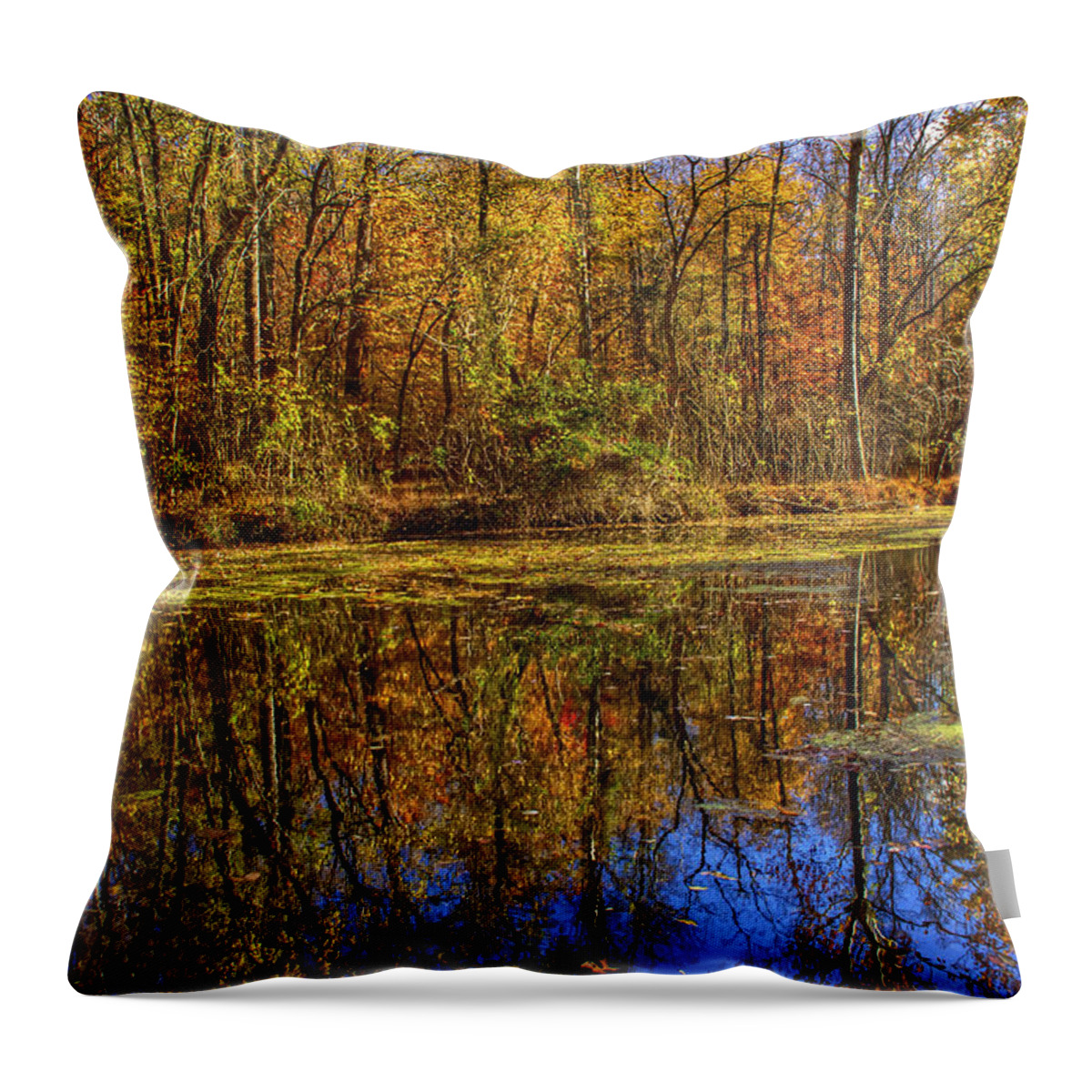 Autumn Throw Pillow featuring the photograph The Vibrancy of Leaves by Kathi Isserman