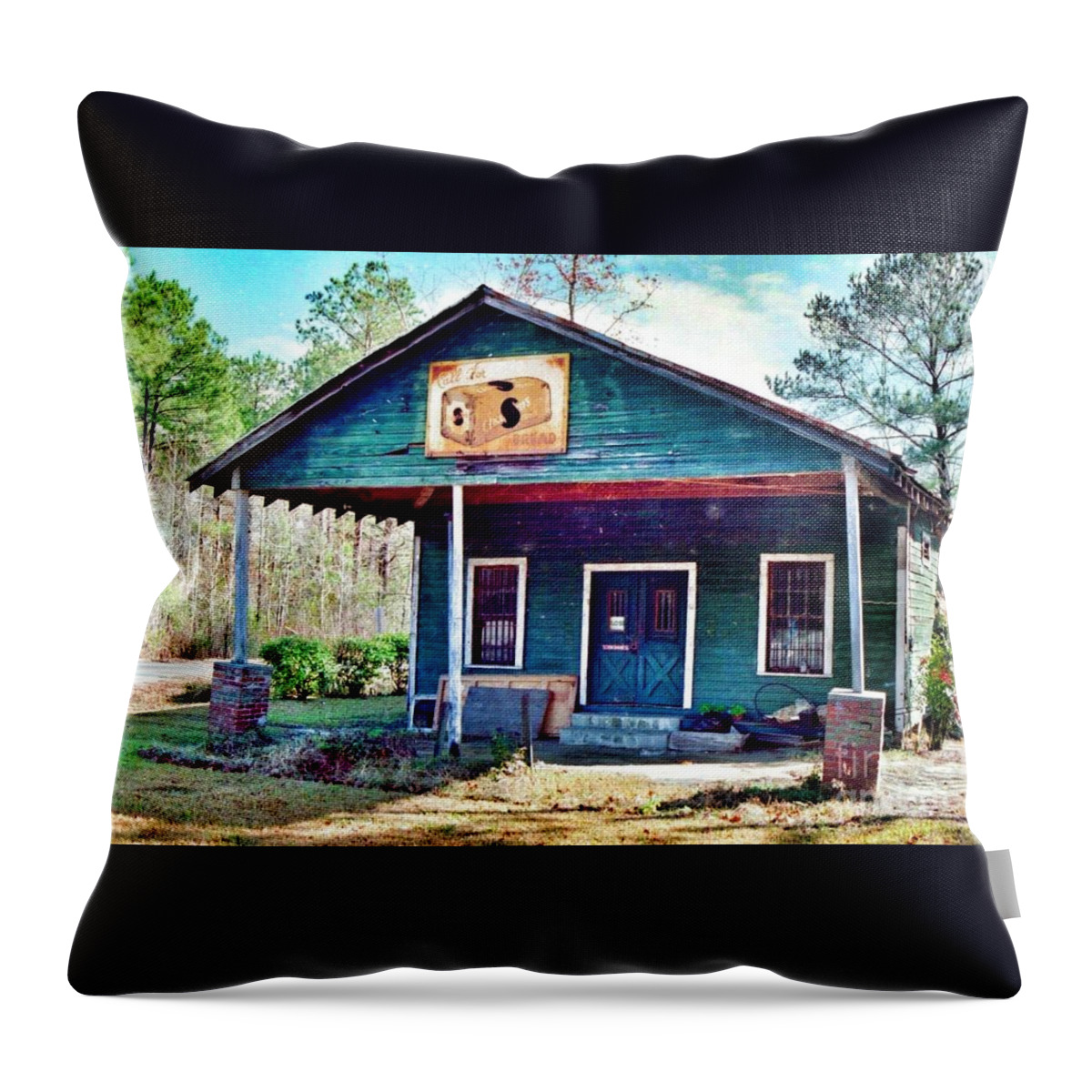 Green Pond South Carolina. Shop Throw Pillow featuring the photograph The Vintage Shop in Green Pond by Patricia Greer