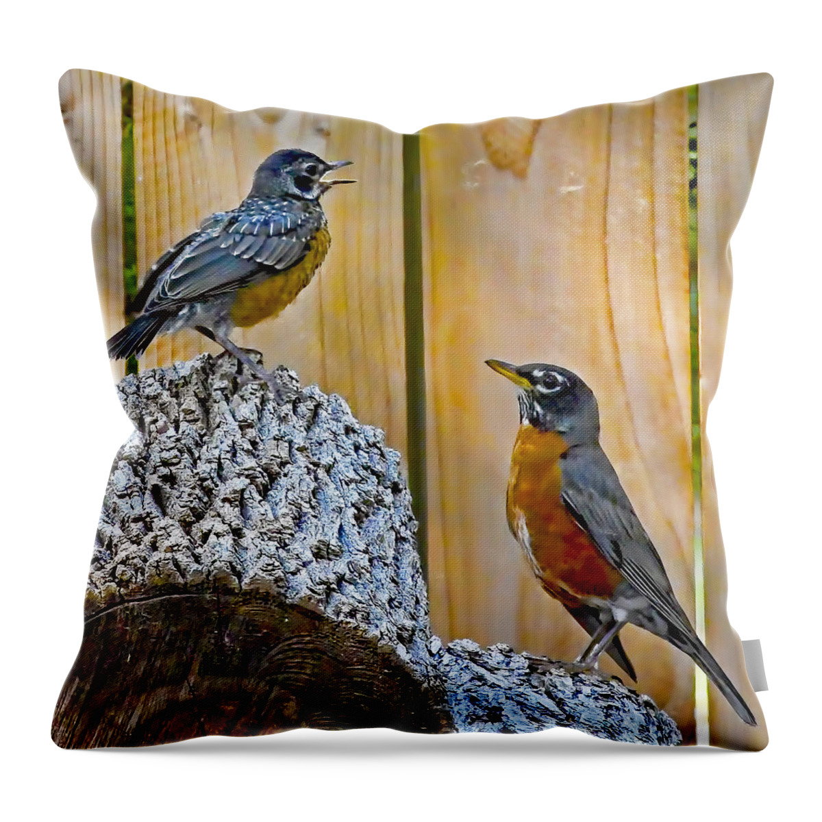 Voice Throw Pillow featuring the photograph The Voice Lesson by Gary Holmes