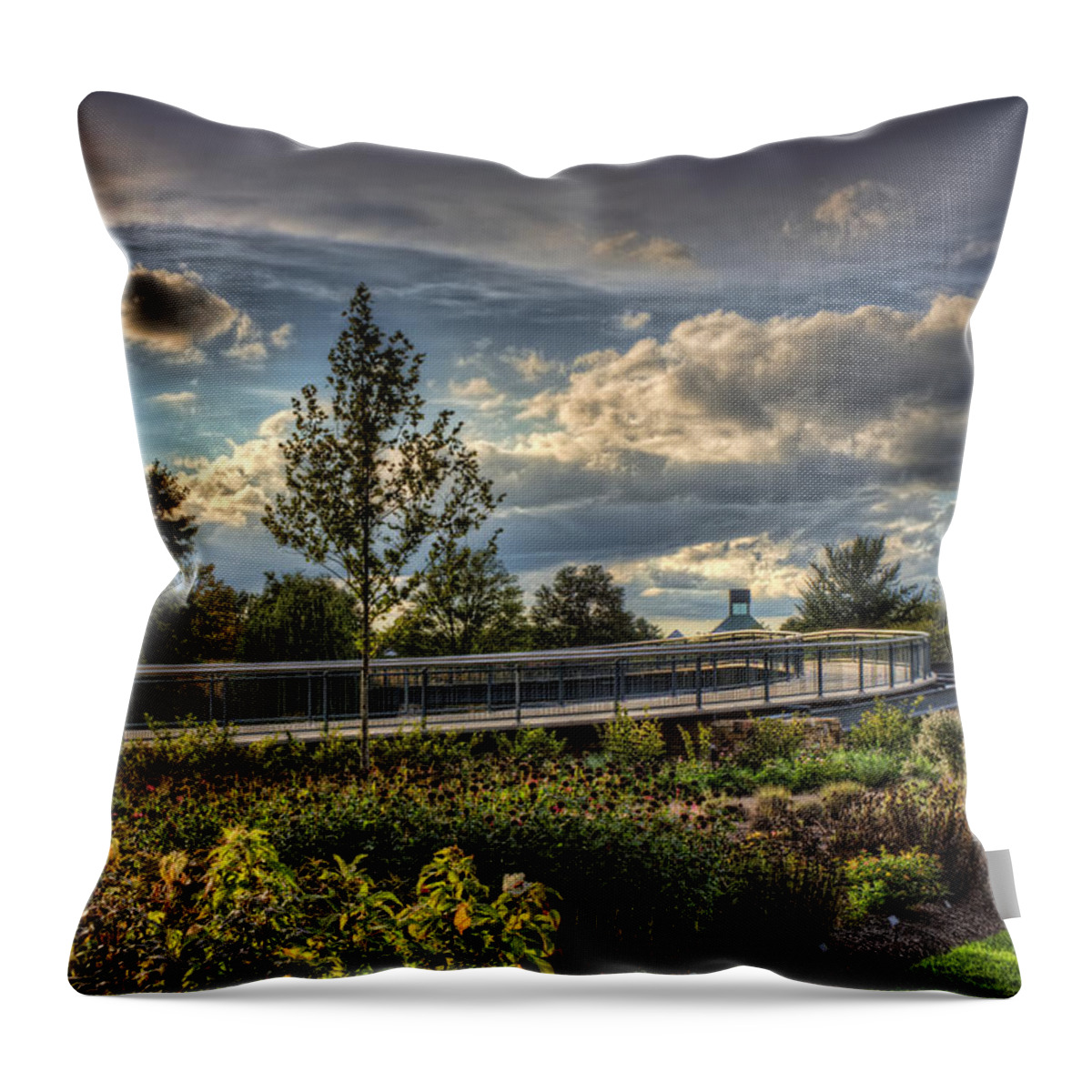 Landscape Throw Pillow featuring the photograph The Walking Path by Scott Wood
