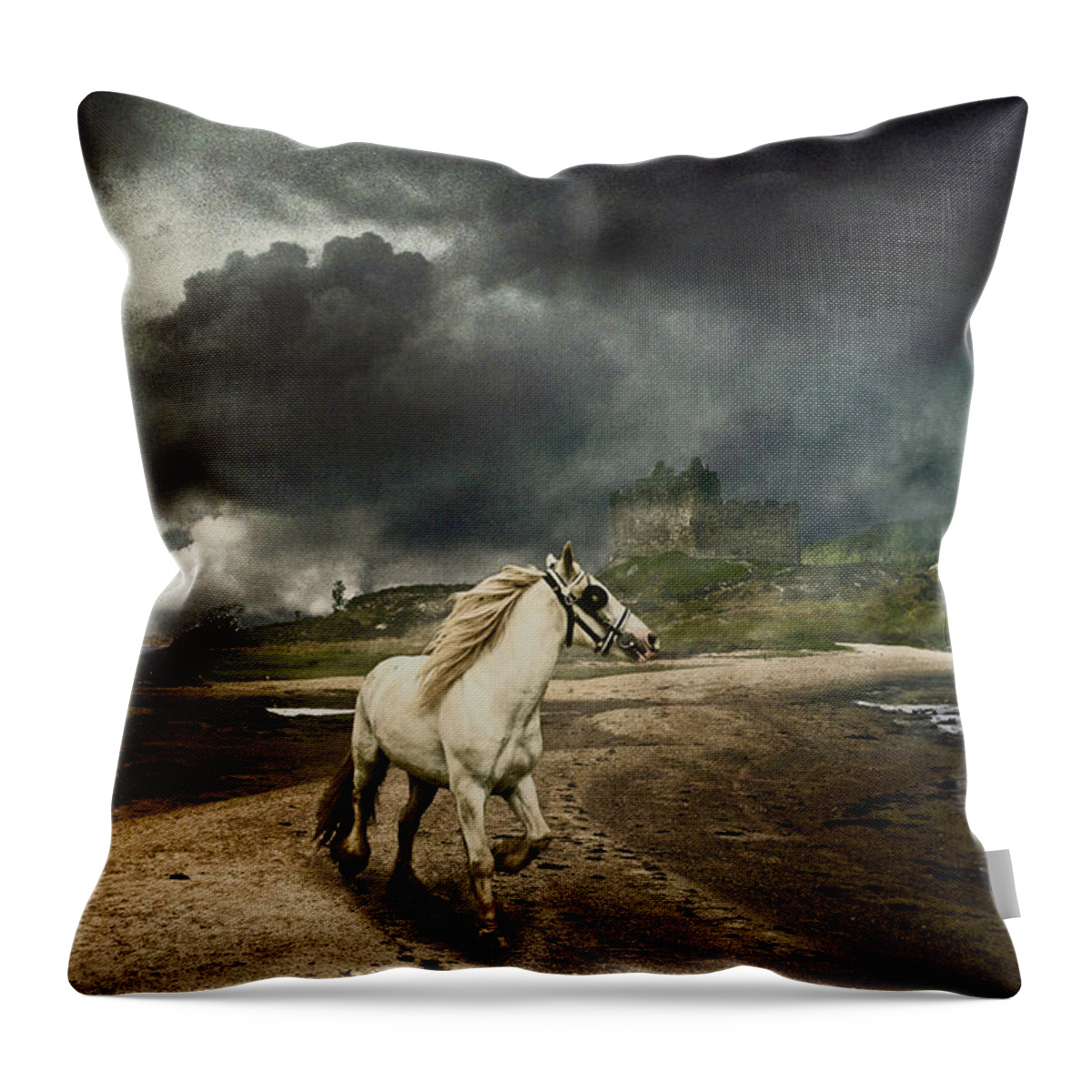 Gypsy Horse Throw Pillow featuring the photograph The Wandering Gypsy by Brian Tarr