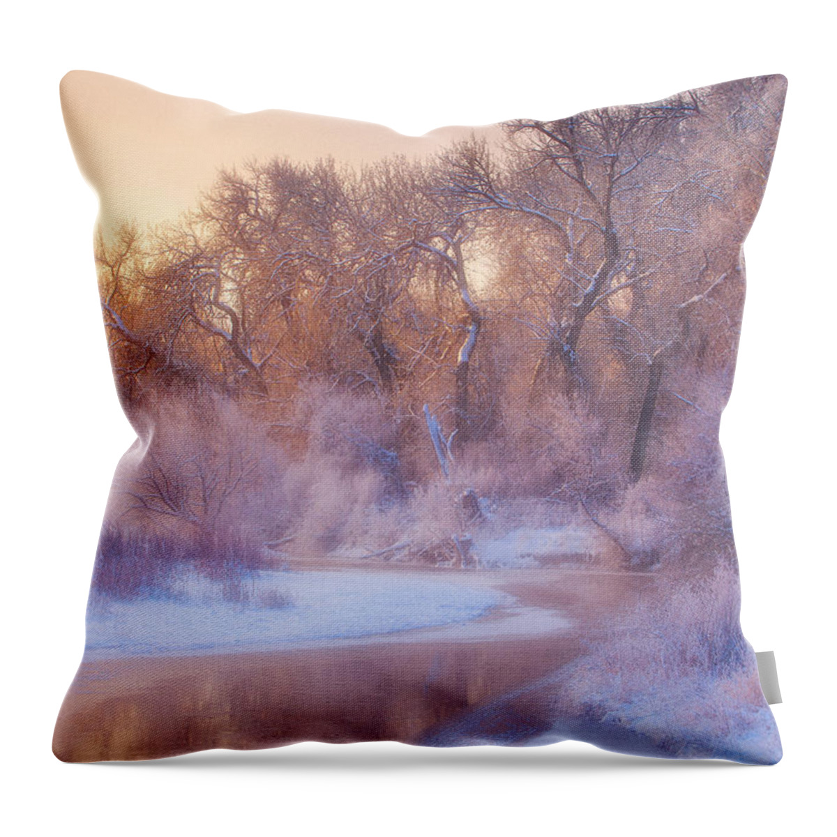 Ice Throw Pillow featuring the photograph The Warmth of Winter by Darren White