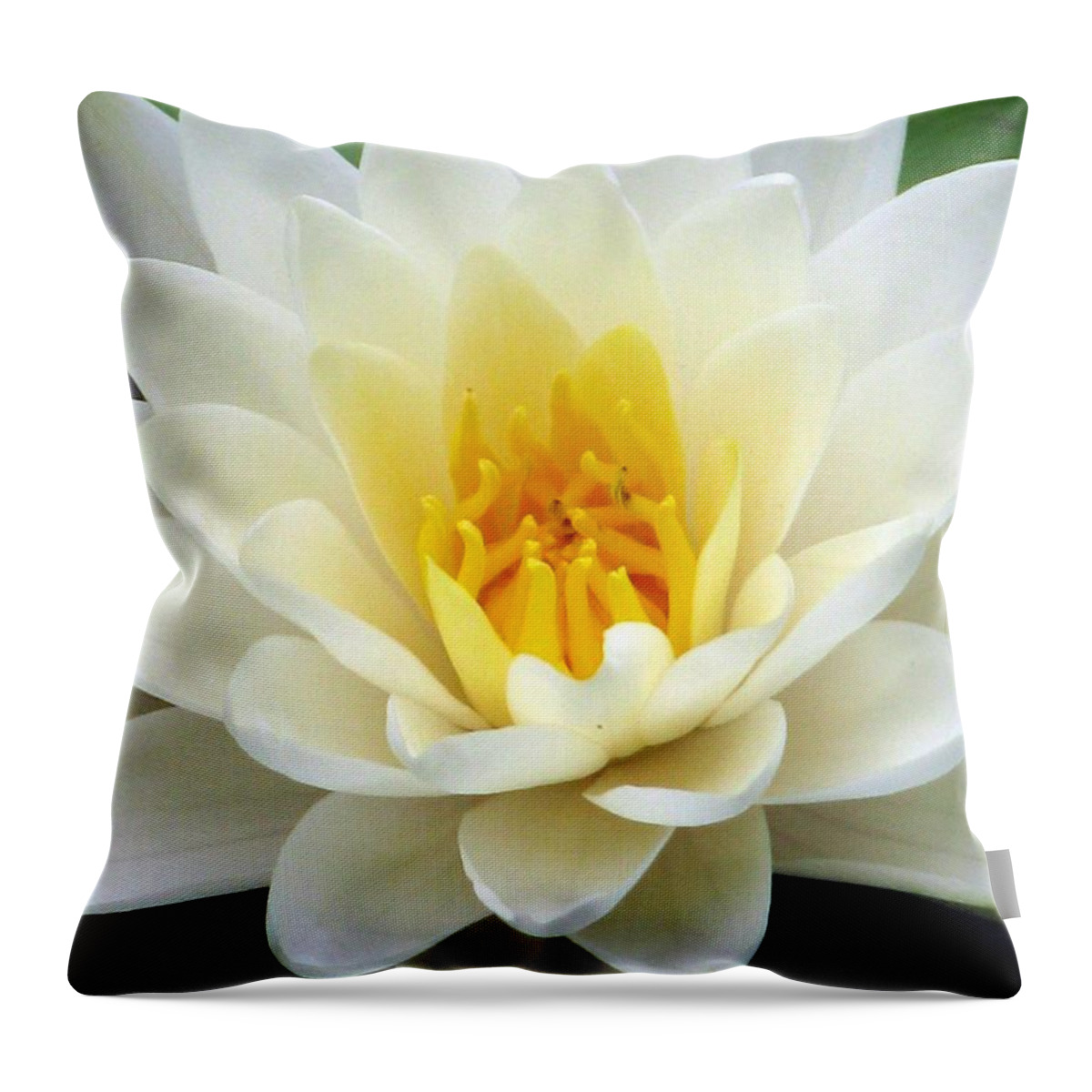 Water Lilies Throw Pillow featuring the photograph The Water Lilies Collection - 03 by Pamela Critchlow