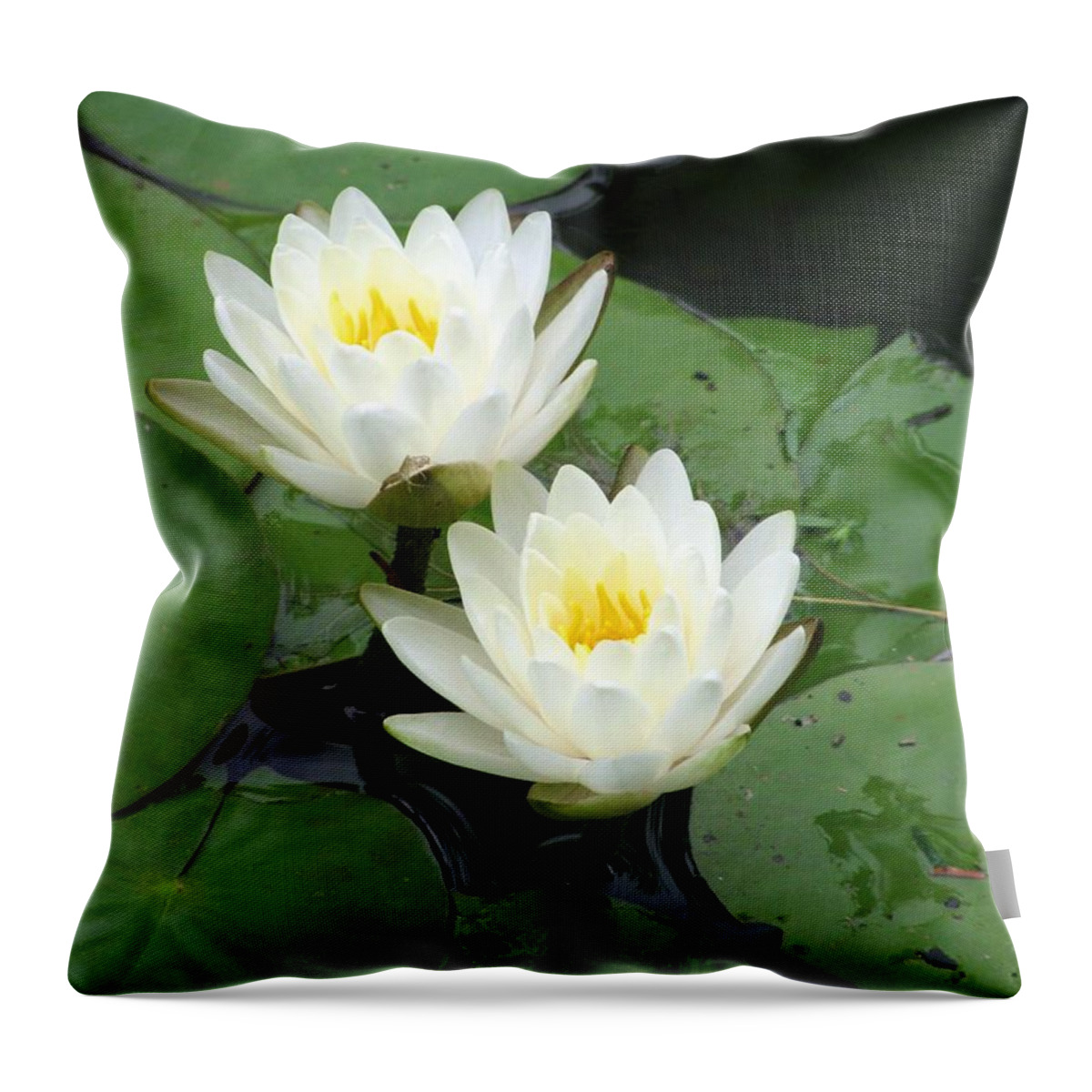 Water Lilies Throw Pillow featuring the photograph The Water Lilies Collection - 07 by Pamela Critchlow