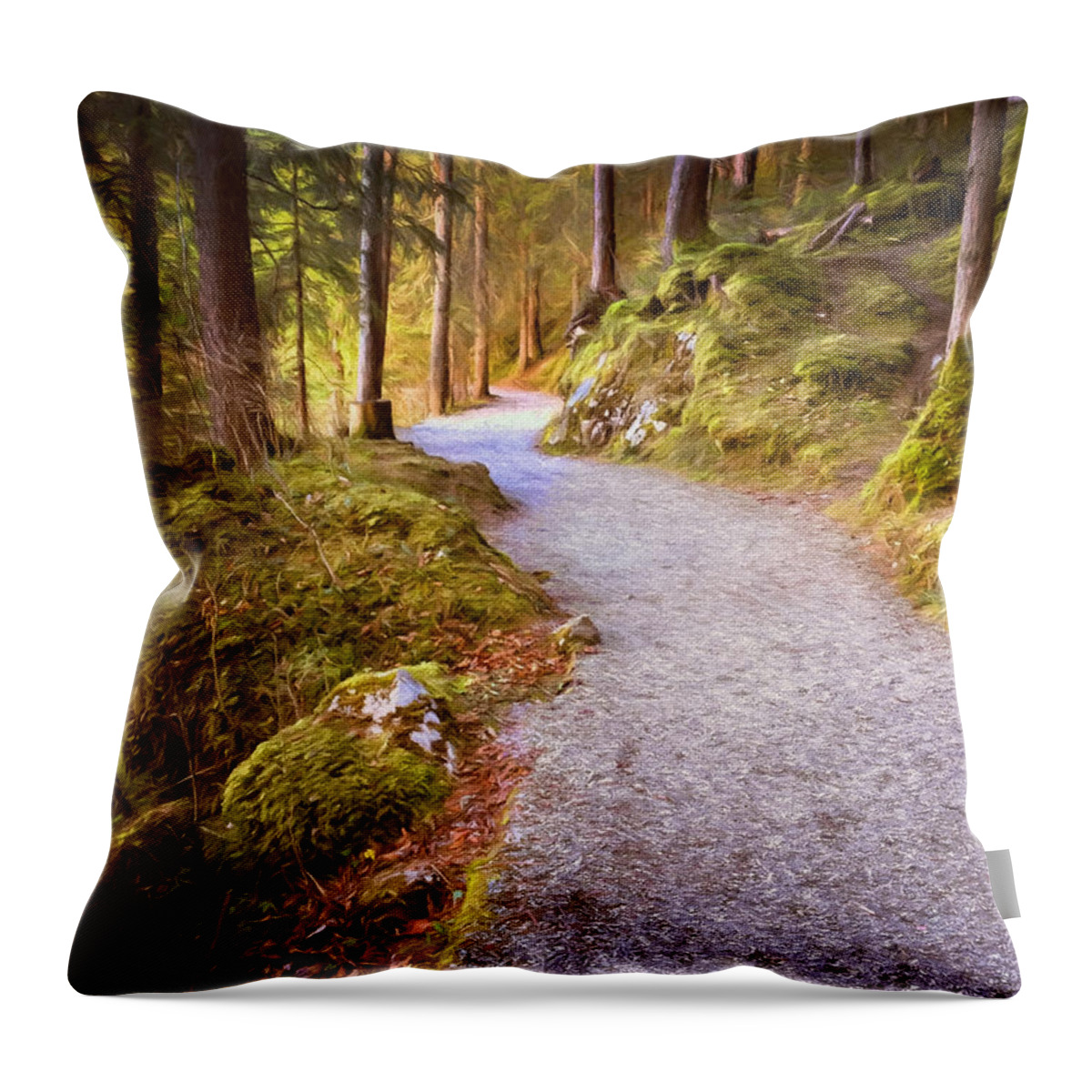 Bavaria Throw Pillow featuring the photograph The Way Home by Shirley Radabaugh