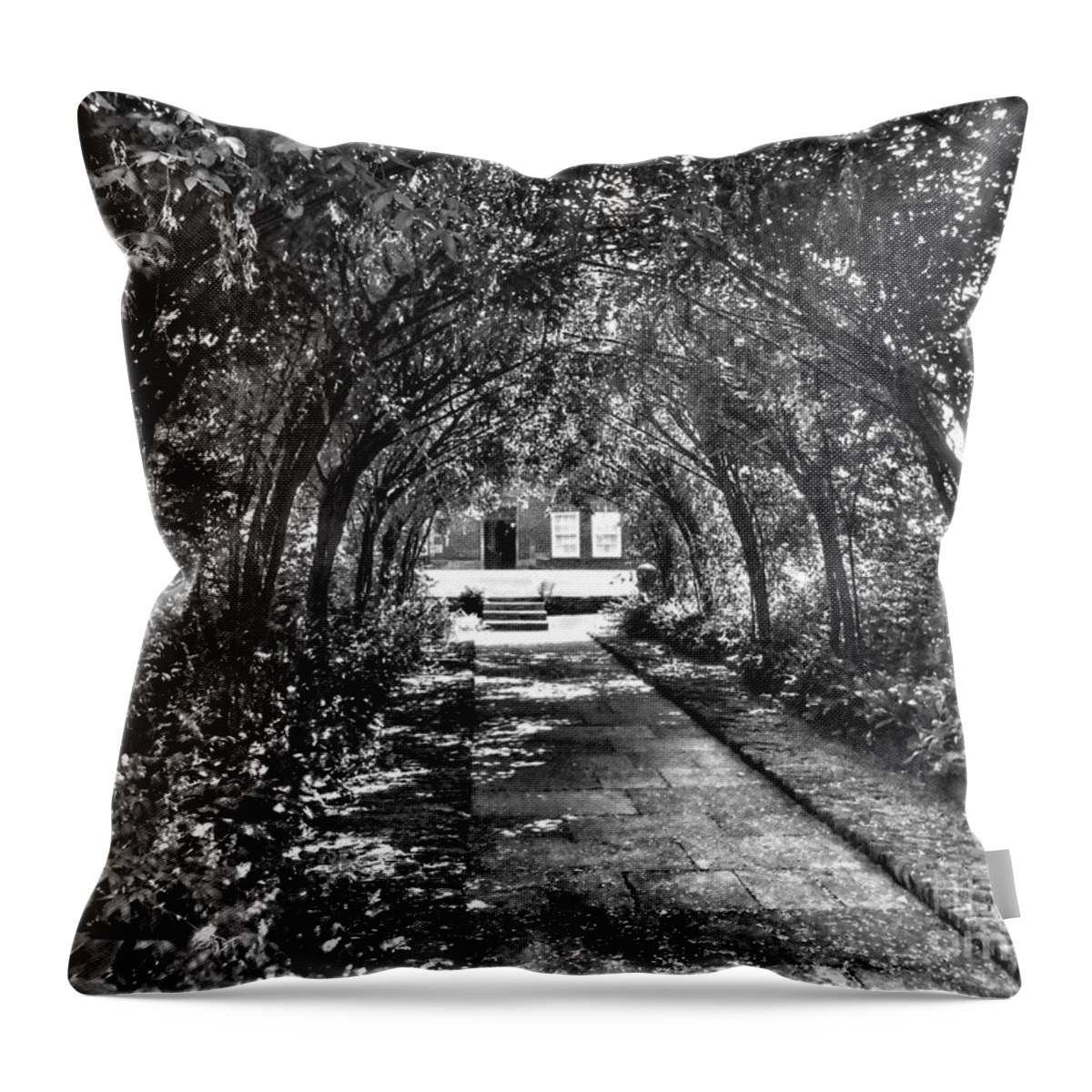 Wedding Arch Throw Pillow featuring the photograph The Wedding Arch In Black and White by Joan-Violet Stretch
