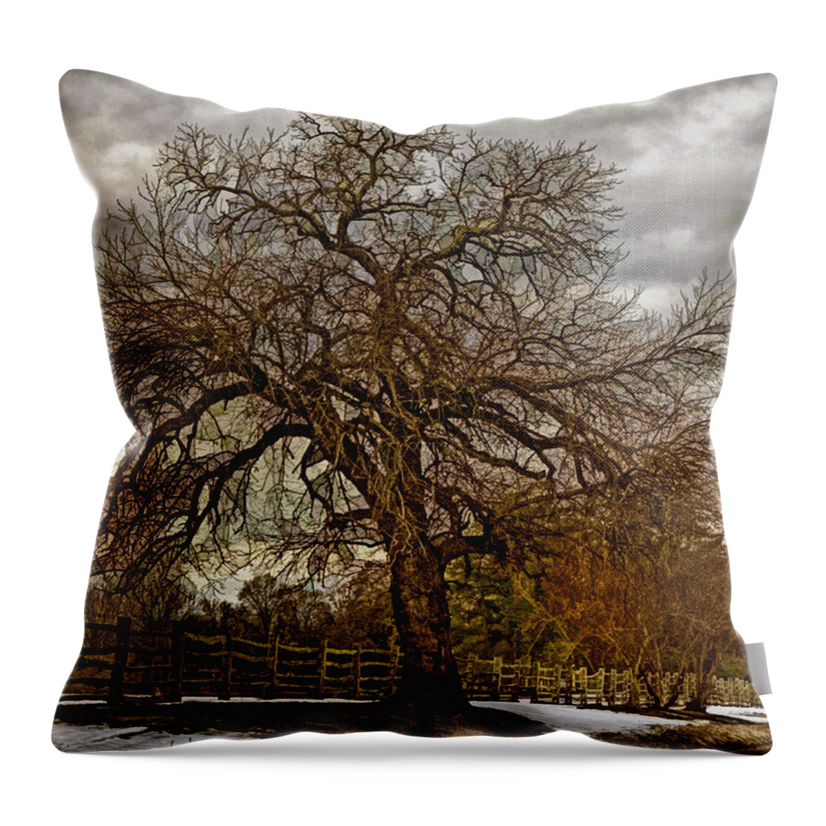 Tree Throw Pillow featuring the photograph The Welcome Tree by Jerry Gammon