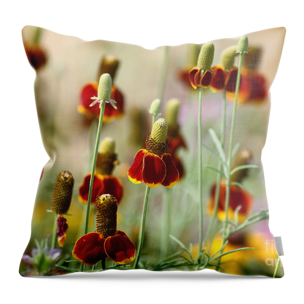 Flora Throw Pillow featuring the photograph The Wildest Of Flowers by Robert Frederick