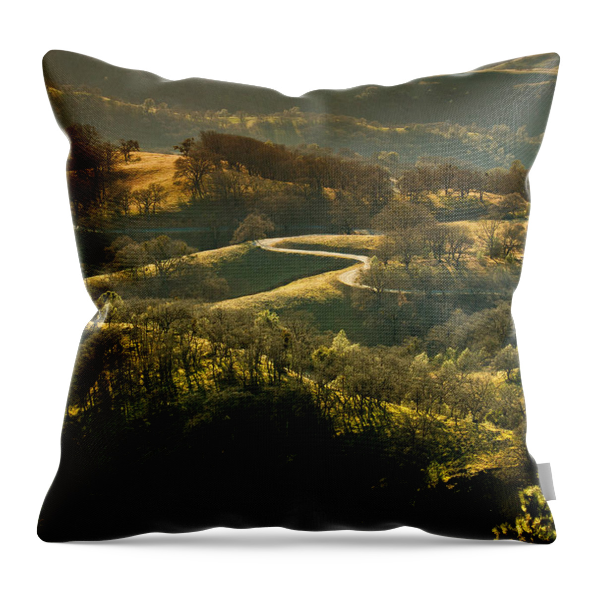 Mountain Road Throw Pillow featuring the photograph The Winding Road by Lisa Chorny