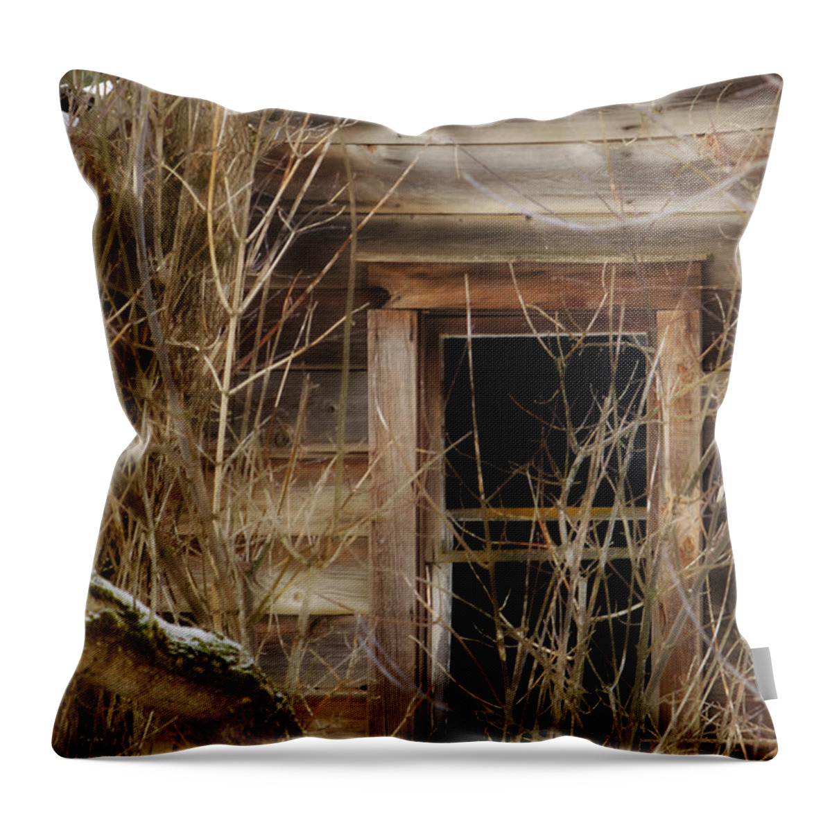 Window Throw Pillow featuring the photograph The Window by Loni Collins