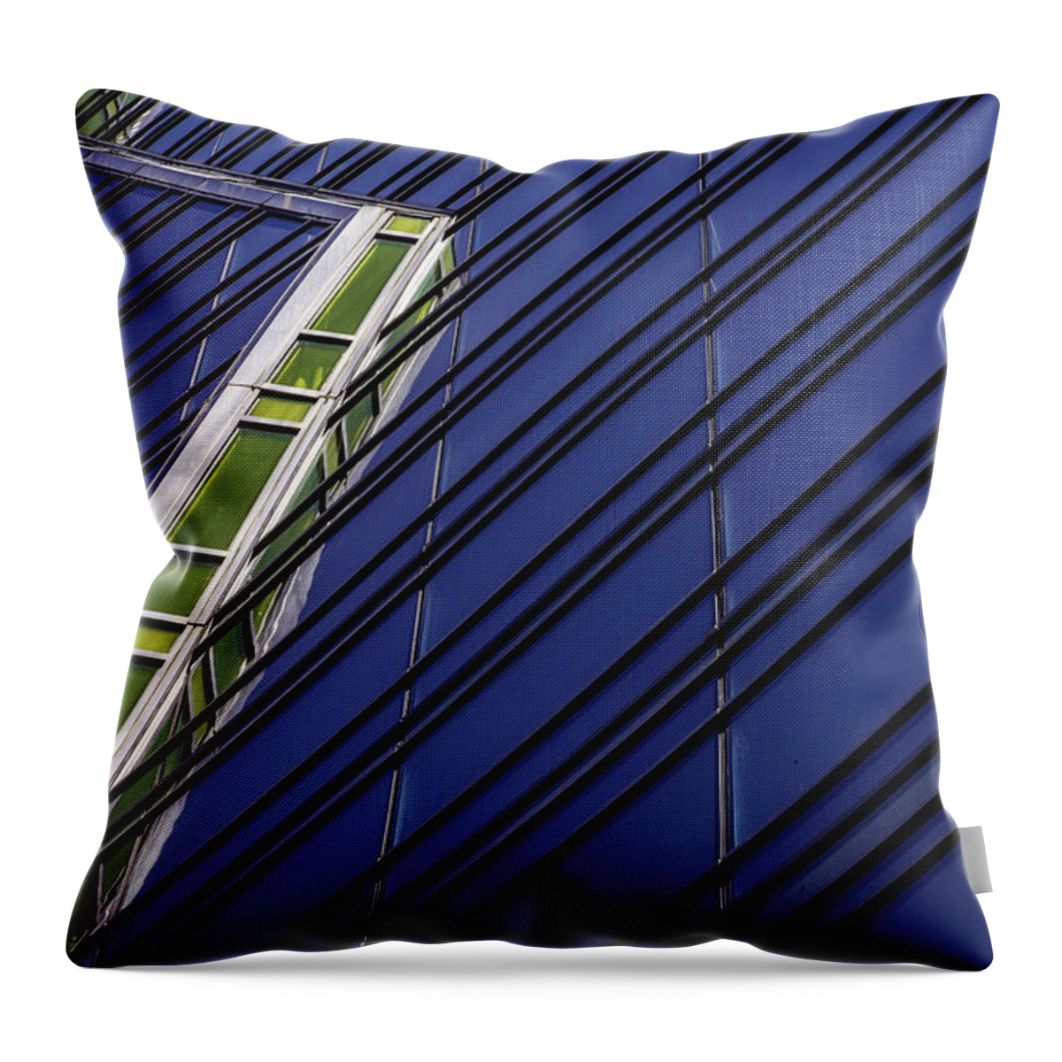  Throw Pillow featuring the photograph The Wit Series One by Raymond Kunst