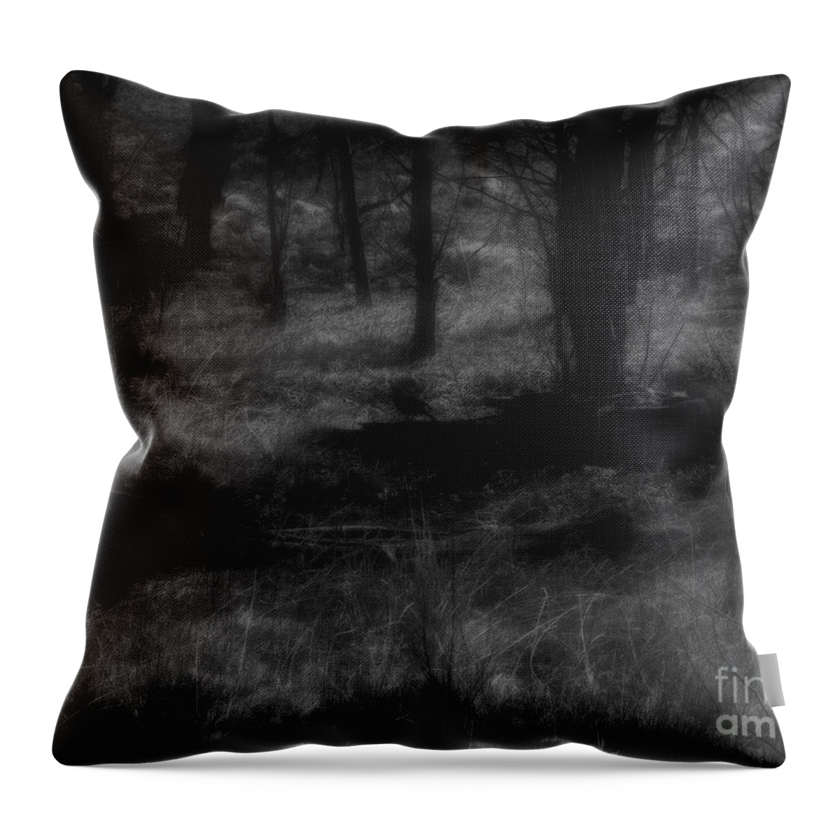 Colorado Throw Pillow featuring the photograph The Woods Are Lovely Dark and Deep by RC DeWinter