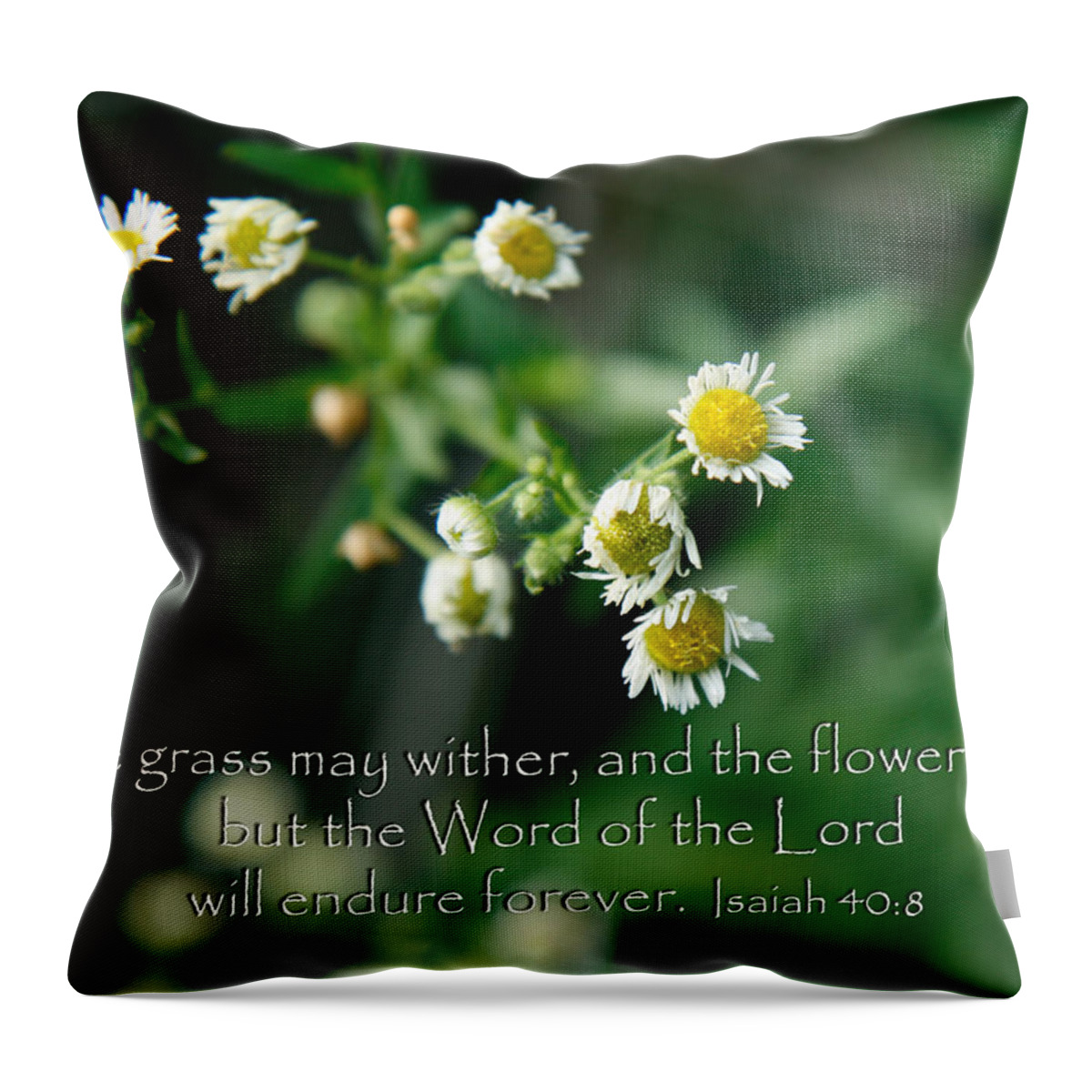 Scripture Verse Throw Pillow featuring the photograph The word of the Lord will endure by Denise Beverly