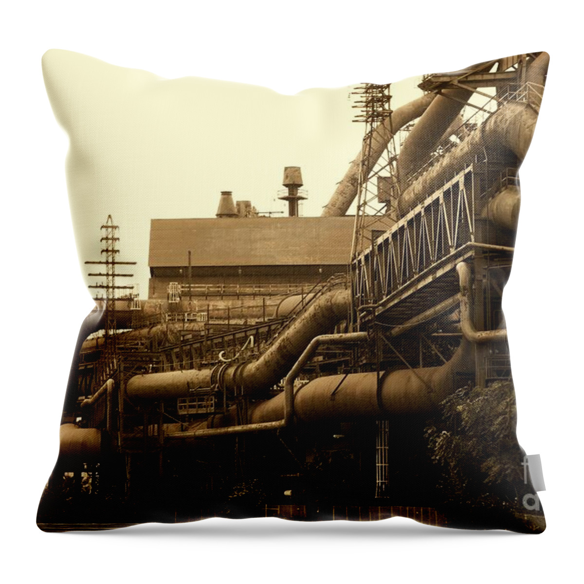 Industry Throw Pillow featuring the photograph The Worm Passageways by Marcia Lee Jones