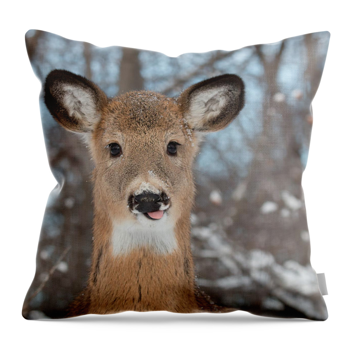 Deer Throw Pillow featuring the photograph The Young One by Celine Pollard