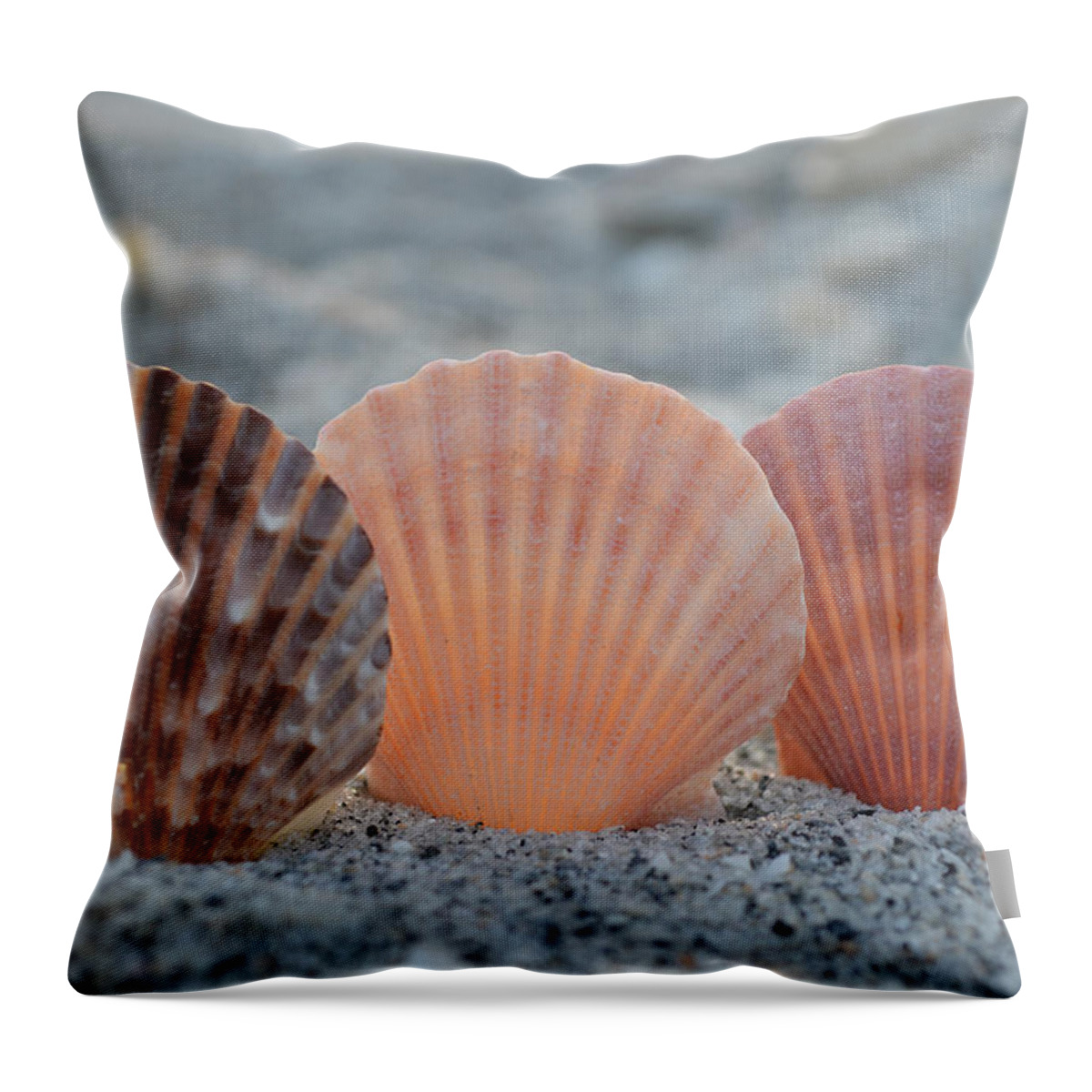 Seashells Throw Pillow featuring the photograph There Comes A Time... by Melanie Moraga
