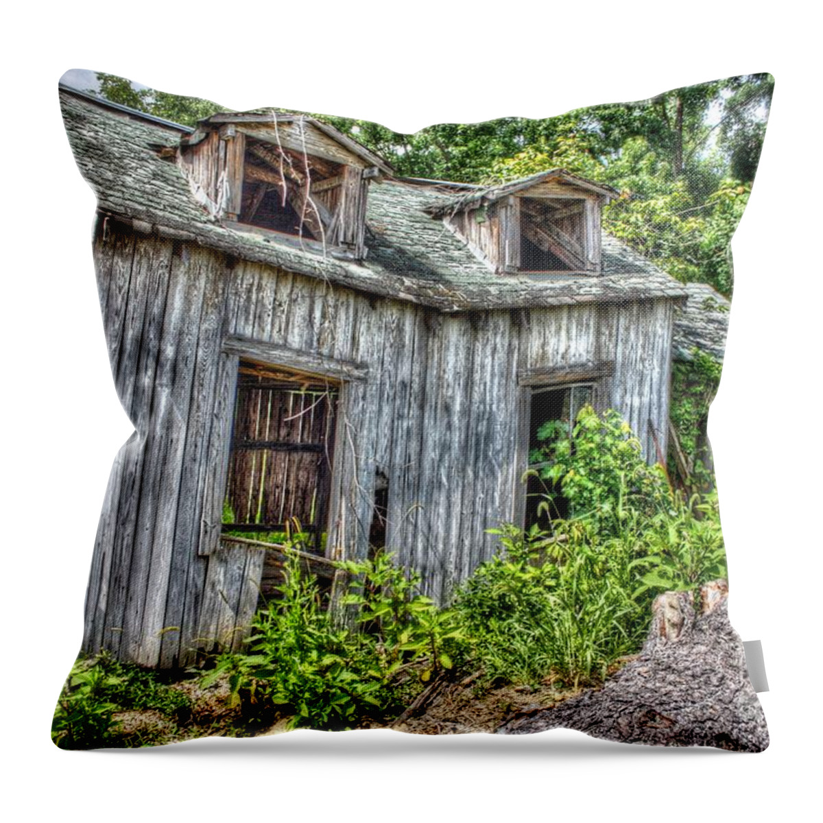 Decay Throw Pillow featuring the digital art There Was A Crooked Man by Dan Stone
