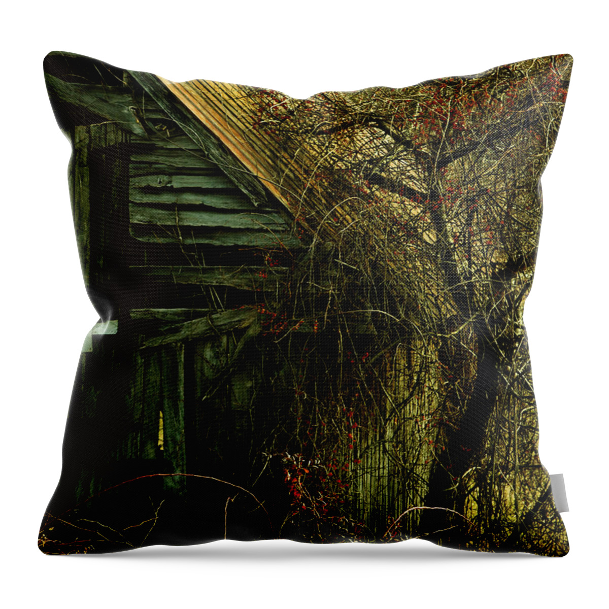 Barn Throw Pillow featuring the photograph There Will Come Soft Rains by Rebecca Sherman