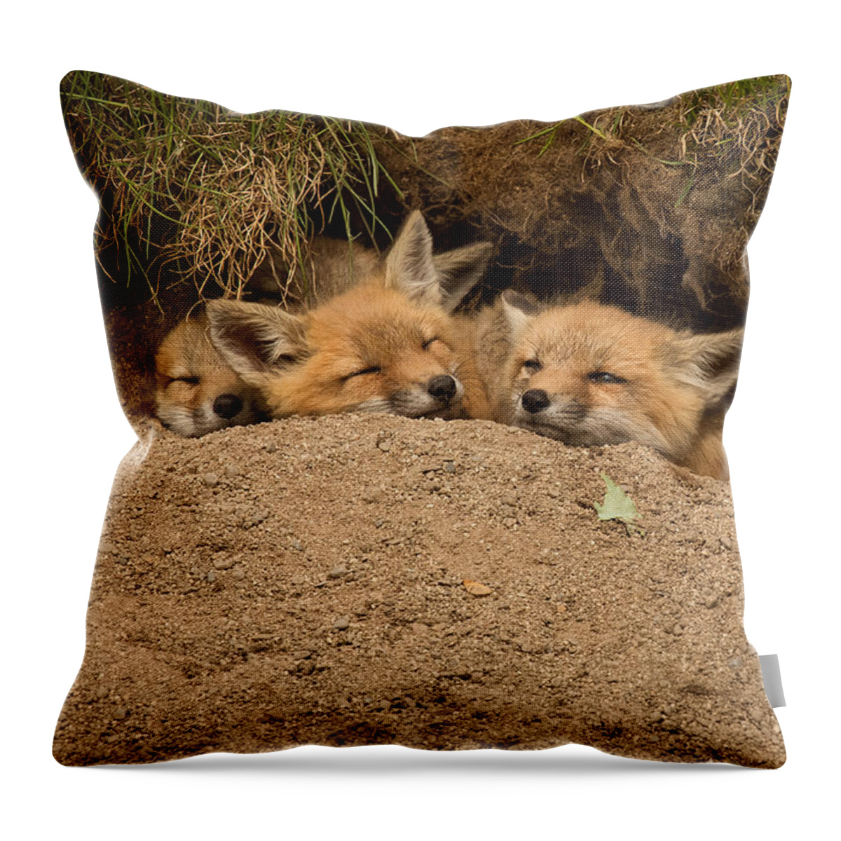 Baby Throw Pillow featuring the photograph There's always room for more by Everet Regal