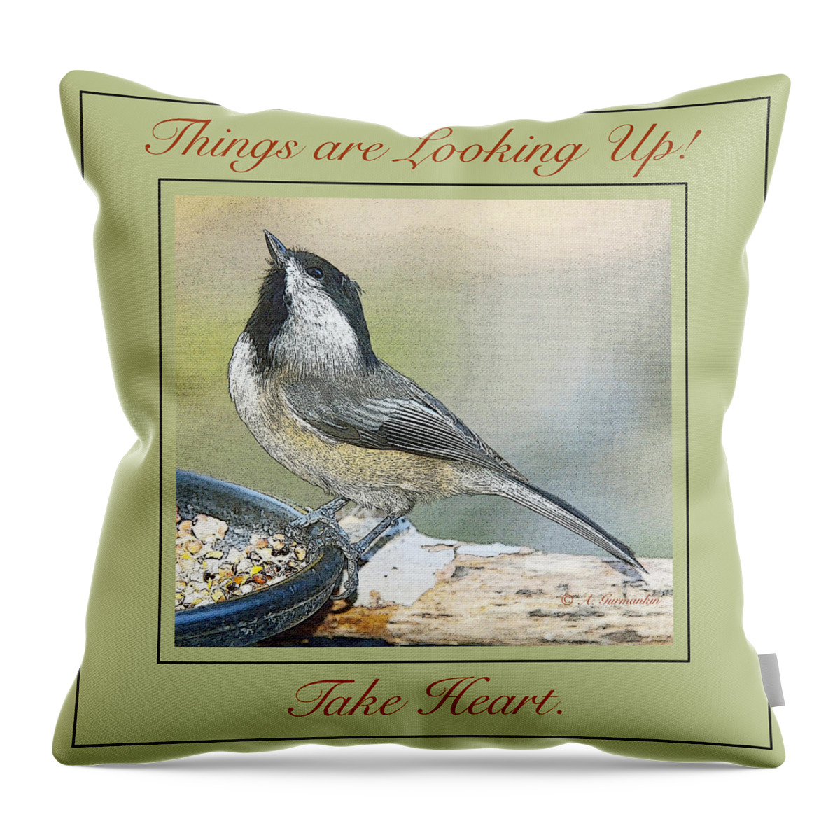 Words Throw Pillow featuring the photograph Things are Looking Up Chickadee Print by A Macarthur Gurmankin
