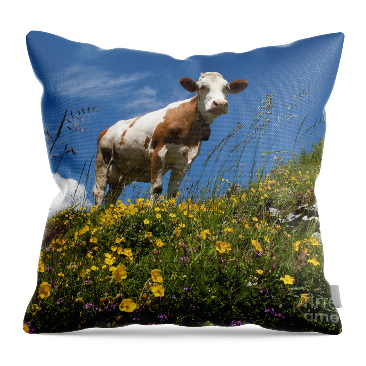 Happy Throw Pillow featuring the photograph Think Milk by Edmund Nagele FRPS