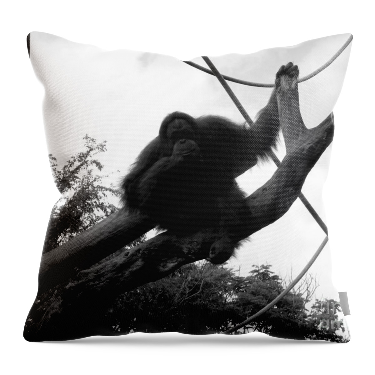 Orangutang Throw Pillow featuring the photograph Thinking of you Black and White by Joseph Baril