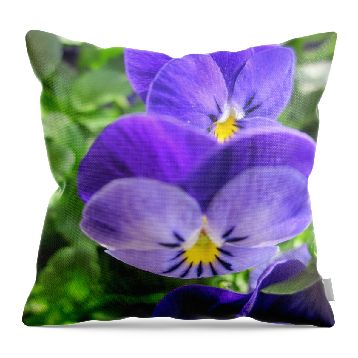 Pens Throw Pillow featuring the photograph Thinking of you by Rosita Larsson