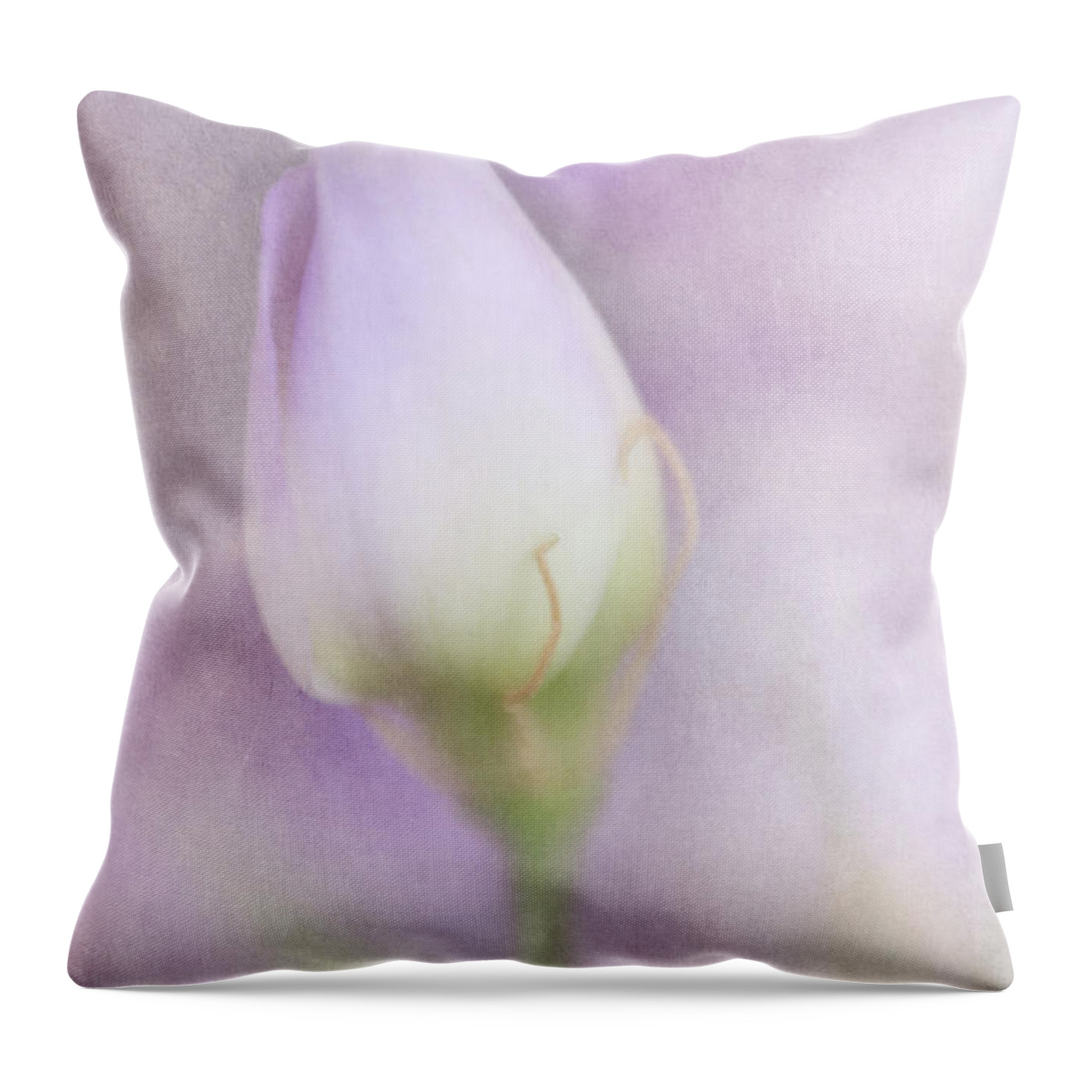 Bud Throw Pillow featuring the photograph This Buds for You Too by David and Carol Kelly