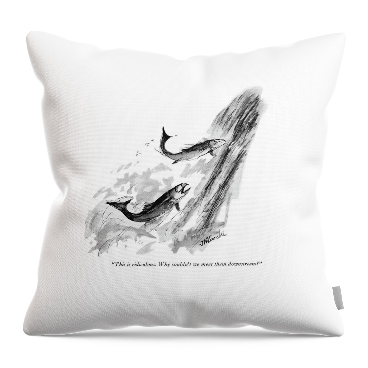 Why Couldn't We Meet Them Downstream? Throw Pillow
