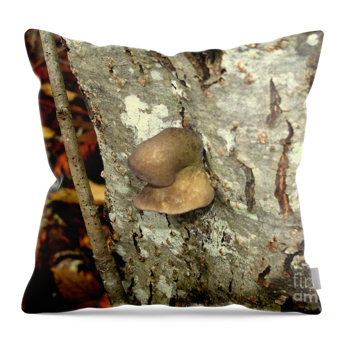 Tree Throw Pillow featuring the photograph This Tree Has A Nose by Leone Lund