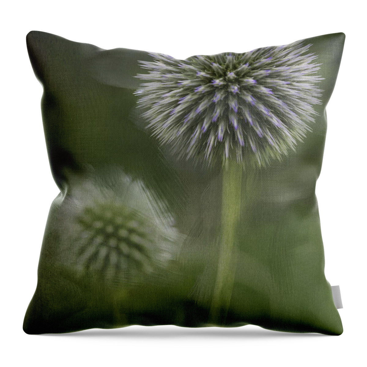Flower Throw Pillow featuring the photograph Thistle by Fran Gallogly