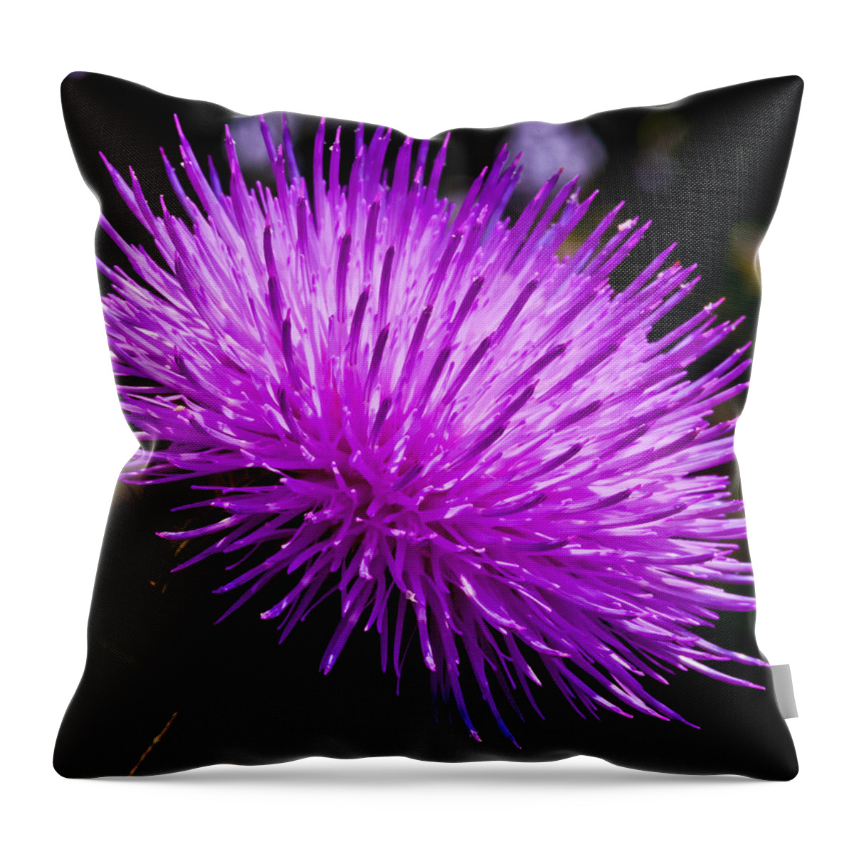 Thistle Throw Pillow featuring the photograph Thistle by Mark Alder