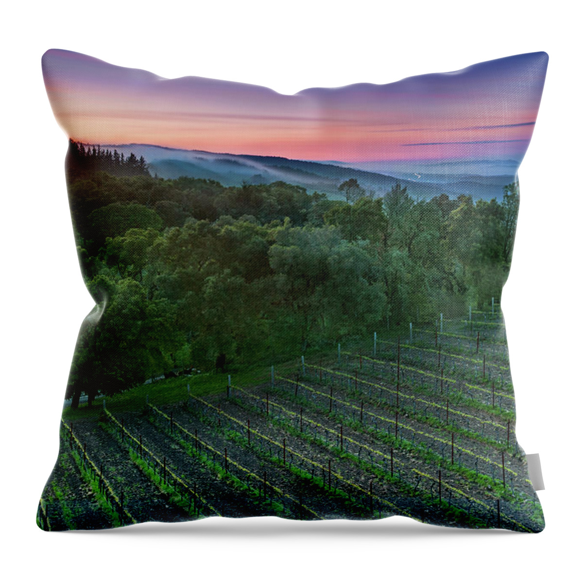 Scenics Throw Pillow featuring the photograph Thomas Fog-erty by Aaron Meyers