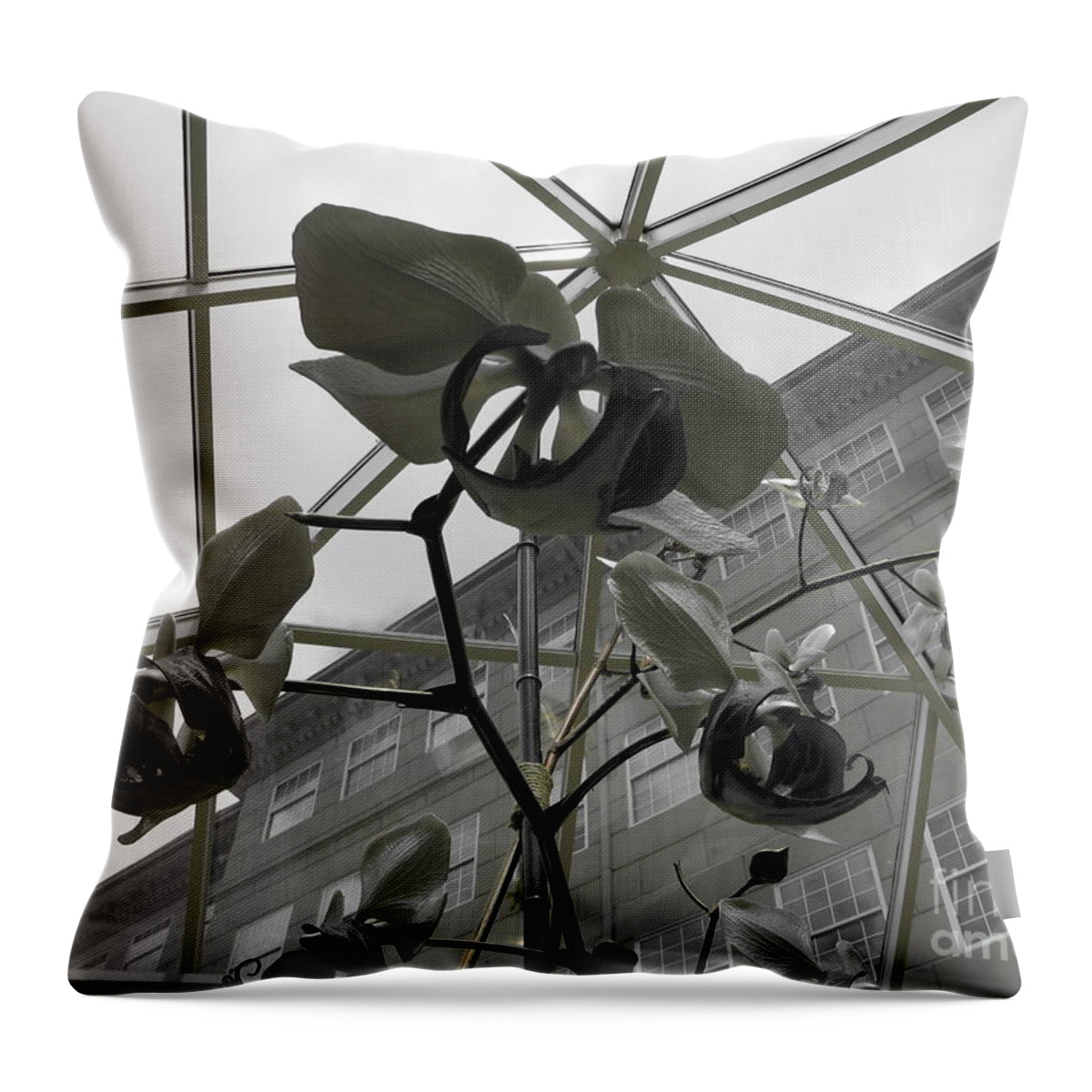 Orchid Throw Pillow featuring the photograph Thorns by Michael Krek
