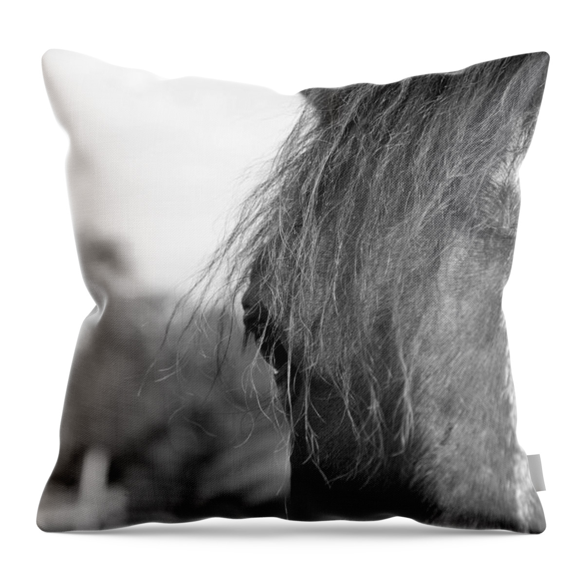 Thoroughbred Throw Pillow featuring the photograph Thoroughbred b/w by Jennifer Ancker