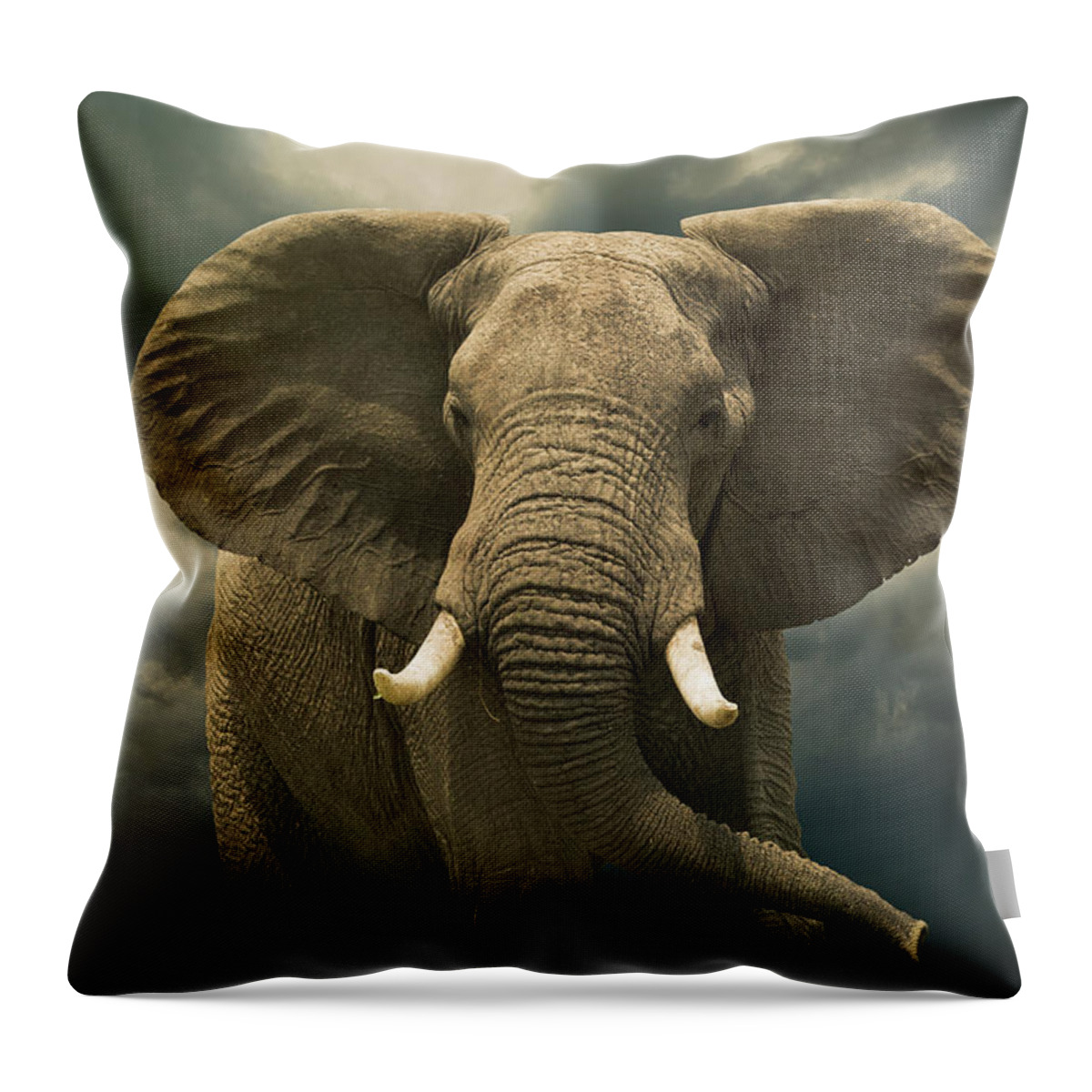 Kenya Throw Pillow featuring the photograph Threatening African Elephant Under by Buena Vista Images