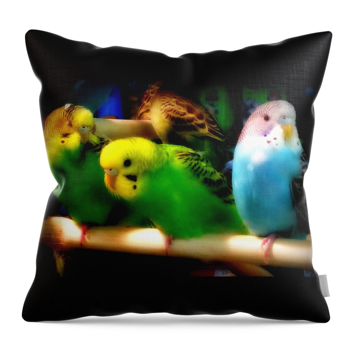 Birds Throw Pillow featuring the photograph Three Amigos by Aurelio Zucco