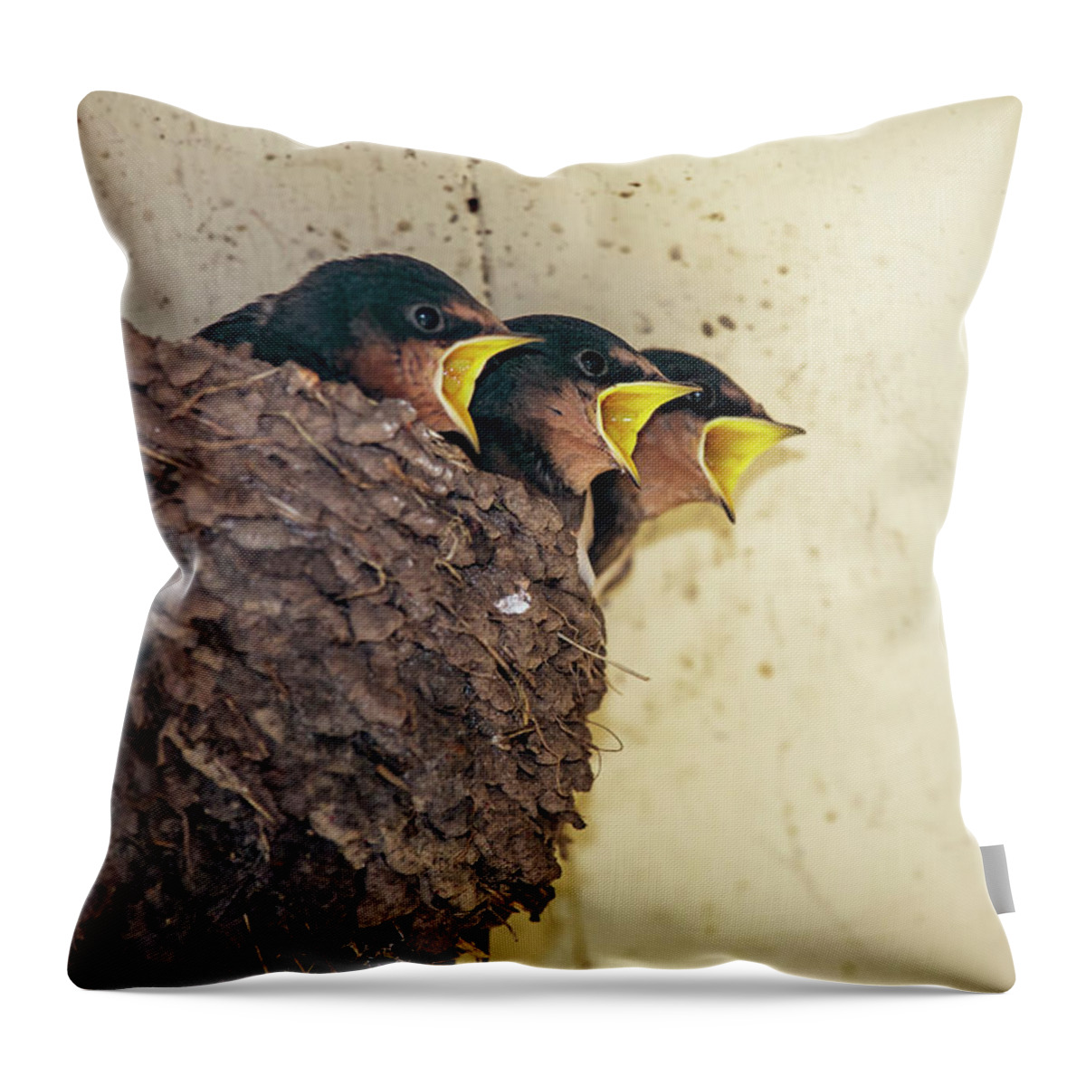 Three Animals Throw Pillow featuring the photograph Three Baby Birds In A Nest Calling To by John Short / Design Pics