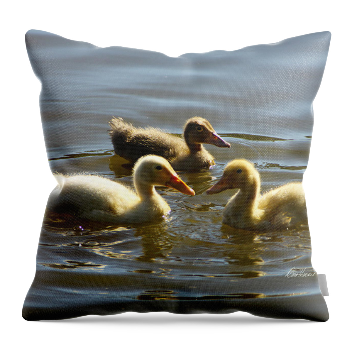  Baby Throw Pillow featuring the photograph Three Baby Ducks Swimming by Diana Haronis